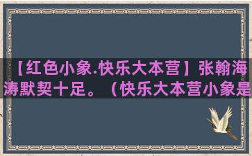 【红色小象.快乐大本营】张翰海涛默契十足。（快乐大本营小象是哪一期）(快乐的小象儿歌)