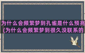 为什么会频繁梦到孔雀是什么预兆(为什么会频繁梦到很久没联系的人)