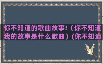 你不知道的歌曲故事!（你不知道我的故事是什么歌曲）(你不知道我经历了什么歌曲原唱)