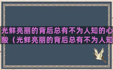 光鲜亮丽的背后总有不为人知的心酸（光鲜亮丽的背后总有不为人知的心酸）(光鲜亮丽的背后总有不为人知的心酸英语)