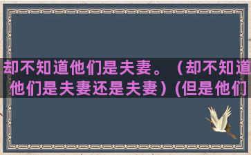 却不知道他们是夫妻。（却不知道他们是夫妻还是夫妻）(但是他们却不知道)