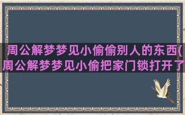 周公解梦梦见小偷偷别人的东西(周公解梦梦见小偷把家门锁打开了)