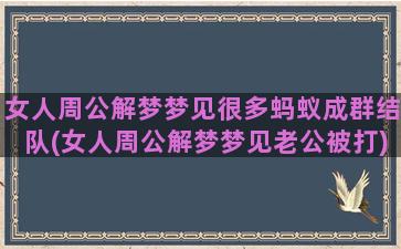 女人周公解梦梦见很多蚂蚁成群结队(女人周公解梦梦见老公被打)