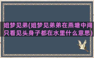 姐梦见弟(姐梦见弟弟在燕塘中间只看见头身子都在水里什么意思)