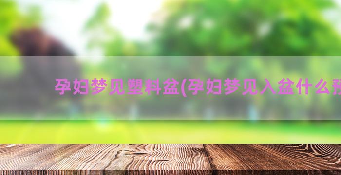 孕妇梦见塑料盆(孕妇梦见入盆什么预兆)