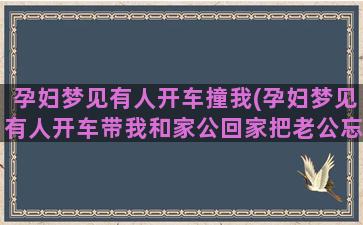 孕妇梦见有人开车撞我(孕妇梦见有人开车带我和家公回家把老公忘了)