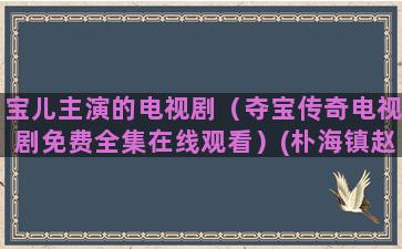 宝儿主演的电视剧（夺宝传奇电视剧免费全集在线观看）(朴海镇赵宝儿主演的电视剧)