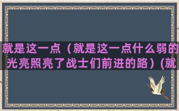 就是这一点（就是这一点什么弱的光亮照亮了战士们前进的路）(就是这一点就是那一点)