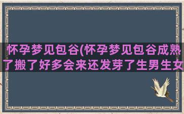 怀孕梦见包谷(怀孕梦见包谷成熟了搬了好多会来还发芽了生男生女)