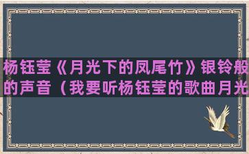 杨钰莹《月光下的凤尾竹》银铃般的声音（我要听杨钰莹的歌曲月光下的凤尾竹）(杨钰莹《月光下的凤尾竹》)