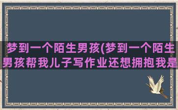 梦到一个陌生男孩(梦到一个陌生男孩帮我儿子写作业还想拥抱我是怀孕了么)