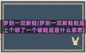 梦到一双新鞋(梦到一双新鞋鞋底上个绑了一个破鞋底是什么意思)