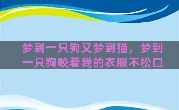 梦到一只狗又梦到猫，梦到一只狗咬着我的衣服不松口