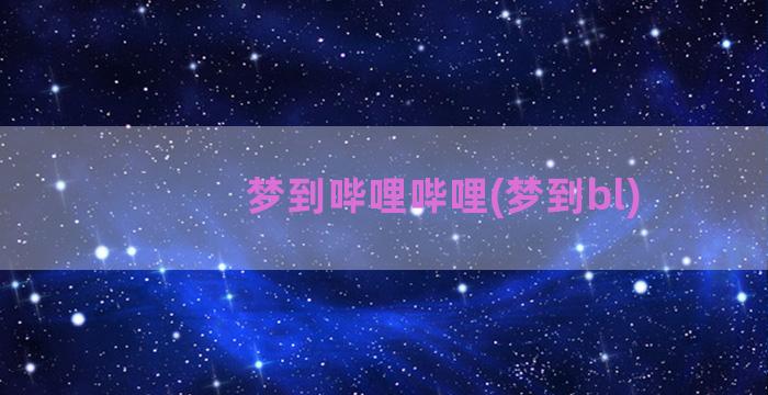 梦到哔哩哔哩(梦到bl)