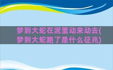 梦到大蛇在泥里动来动去(梦到大蛇跑了是什么征兆)