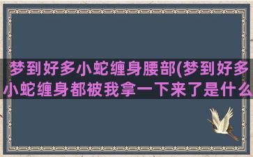 梦到好多小蛇缠身腰部(梦到好多小蛇缠身都被我拿一下来了是什么意思周公解梦)