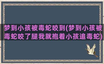 梦到小孩被毒蛇咬到(梦到小孩被毒蛇咬了腿我就抱着小孩追毒蛇)