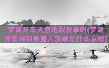 梦到开车天崩地裂没事吗(梦到开车掉到悬崖人没事是什么意思)