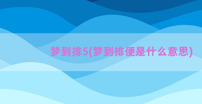 梦到排5(梦到排便是什么意思)