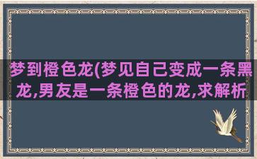 梦到橙色龙(梦见自己变成一条黑龙,男友是一条橙色的龙,求解析)