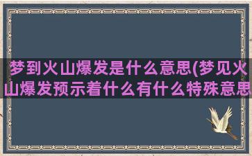 梦到火山爆发是什么意思(梦见火山爆发预示着什么有什么特殊意思)