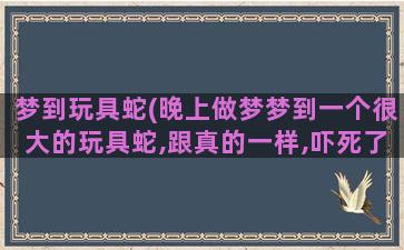 梦到玩具蛇(晚上做梦梦到一个很大的玩具蛇,跟真的一样,吓死了是什么意思)