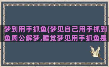 梦到用手抓鱼(梦见自己用手抓到鱼周公解梦,睡觉梦见用手抓鱼是什么意思)