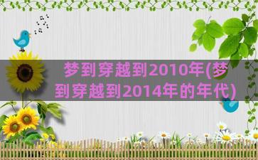 梦到穿越到2010年(梦到穿越到2014年的年代)