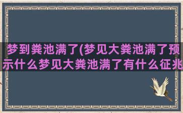 梦到粪池满了(梦见大粪池满了预示什么梦见大粪池满了有什么征兆)