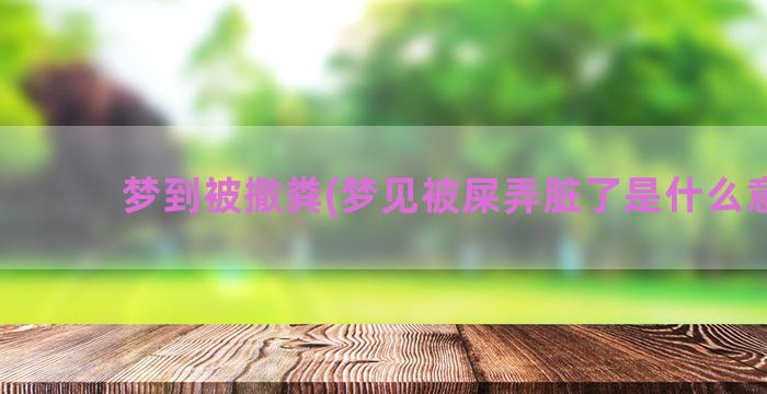 梦到被撒粪(梦见被屎弄脏了是什么意思)