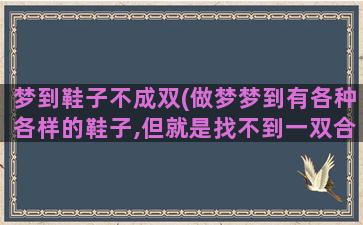 梦到鞋子不成双(做梦梦到有各种各样的鞋子,但就是找不到一双合适的)