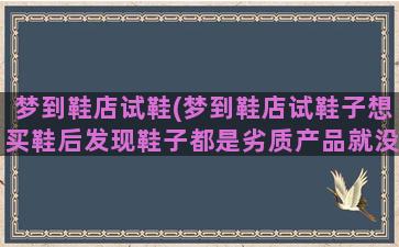 梦到鞋店试鞋(梦到鞋店试鞋子想买鞋后发现鞋子都是劣质产品就没买)