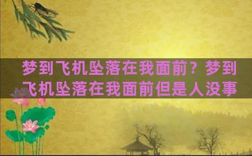 梦到飞机坠落在我面前？梦到飞机坠落在我面前但是人没事