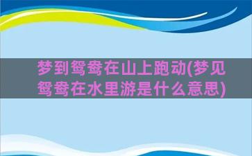 梦到鸳鸯在山上跑动(梦见鸳鸯在水里游是什么意思)