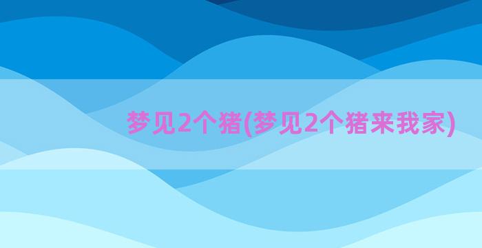 梦见2个猪(梦见2个猪来我家)