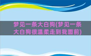 梦见一条大白狗(梦见一条大白狗很温柔走到我面前)