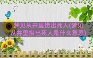 梦见从井里捞出死人(梦见从井里捞出死人是什么意思)