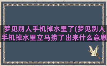 梦见别人手机掉水里了(梦见别人手机掉水里立马捞了出来什么意思)