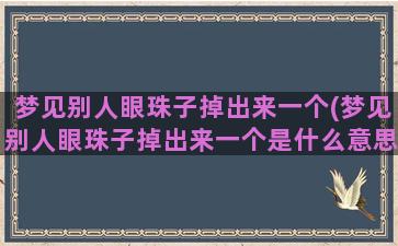 梦见别人眼珠子掉出来一个(梦见别人眼珠子掉出来一个是什么意思)