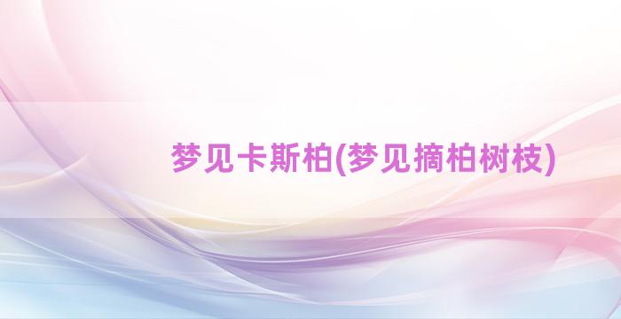 梦见卡斯柏(梦见摘柏树枝)