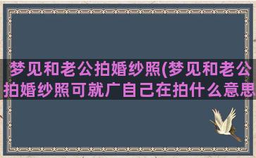 梦见和老公拍婚纱照(梦见和老公拍婚纱照可就广自己在拍什么意思)