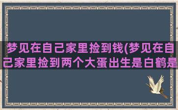 梦见在自己家里捡到钱(梦见在自己家里捡到两个大蛋出生是白鹤是怎么回事)