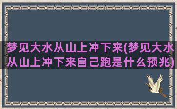 梦见大水从山上冲下来(梦见大水从山上冲下来自己跑是什么预兆)