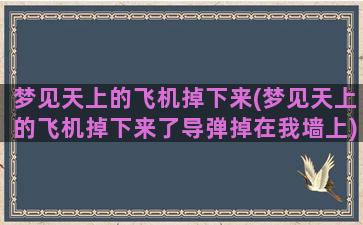 梦见天上的飞机掉下来(梦见天上的飞机掉下来了导弹掉在我墙上)