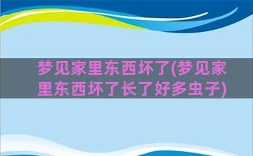 梦见家里东西坏了(梦见家里东西坏了长了好多虫子)