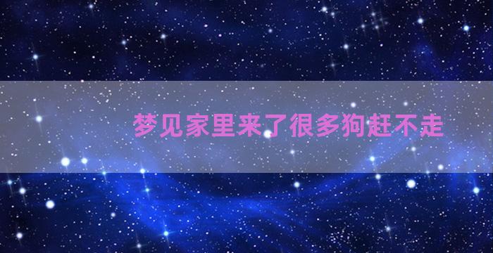 梦见家里来了很多狗赶不走