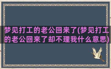 梦见打工的老公回来了(梦见打工的老公回来了却不理我什么意思)