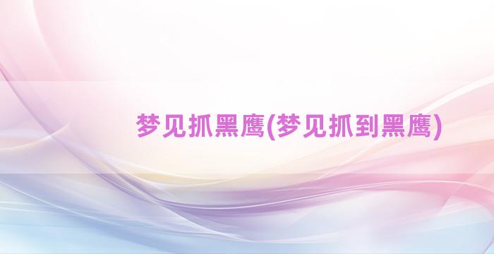 梦见抓黑鹰(梦见抓到黑鹰)