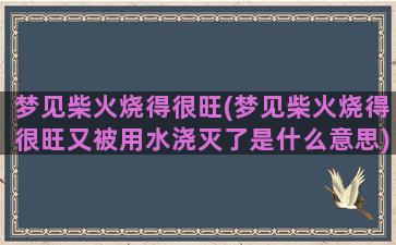 梦见柴火烧得很旺(梦见柴火烧得很旺又被用水浇灭了是什么意思)