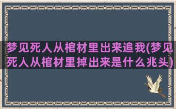 梦见死人从棺材里出来追我(梦见死人从棺材里掉出来是什么兆头)